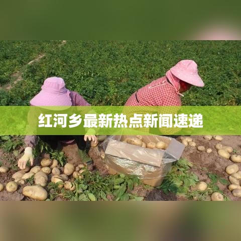 红河乡最新热点新闻速递