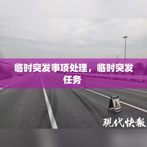 知识产权预算中心 第4页