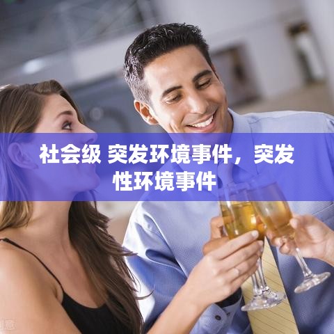 社会级 突发环境事件，突发性环境事件 