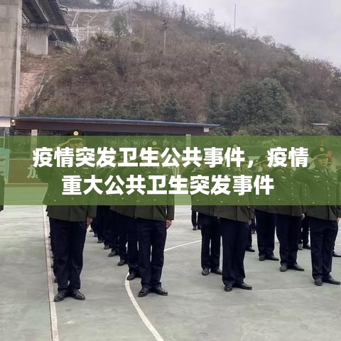 疫情突发卫生公共事件，疫情重大公共卫生突发事件 