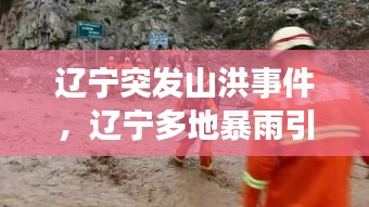 辽宁突发山洪事件，辽宁多地暴雨引发洪水 现场有路面坍塌 