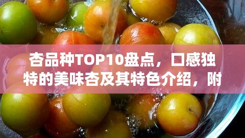 杏品种TOP10盘点，口感独特的美味杏及其特色介绍，附图片全解析