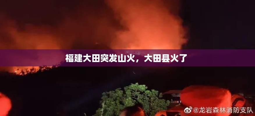 福建大田突发山火，大田县火了 