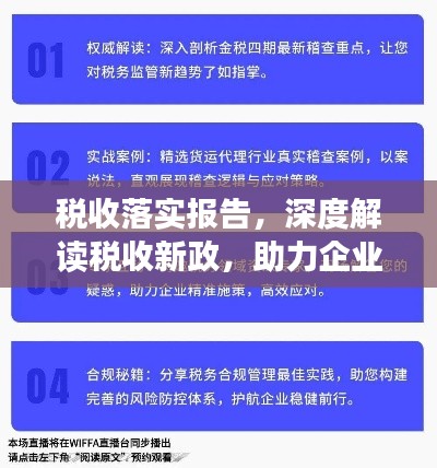 税收落实报告，深度解读税收新政，助力企业合规发展！