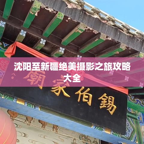 沈阳至新疆绝美摄影之旅攻略大全