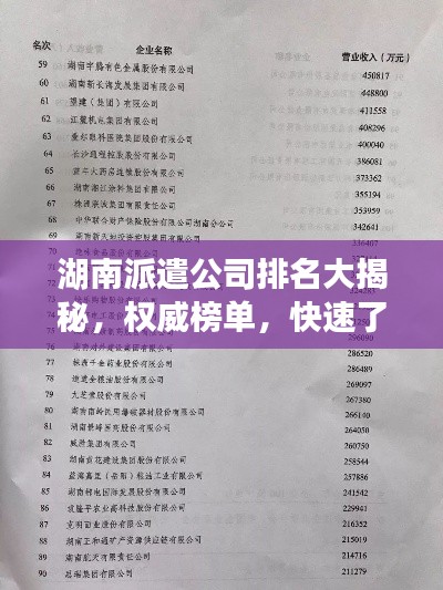 湖南派遣公司排名大揭秘，权威榜单，快速了解优质服务企业！