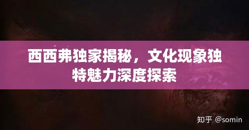 西西弗独家揭秘，文化现象独特魅力深度探索