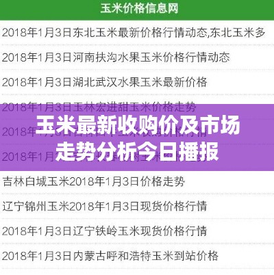 玉米最新收购价及市场走势分析今日播报