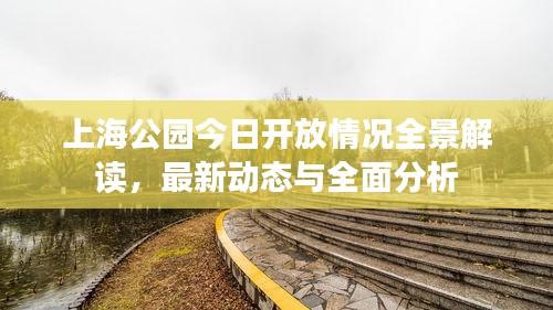 上海公园今日开放情况全景解读，最新动态与全面分析