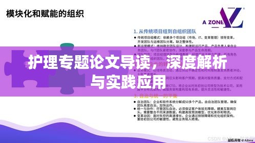 护理专题论文导读，深度解析与实践应用