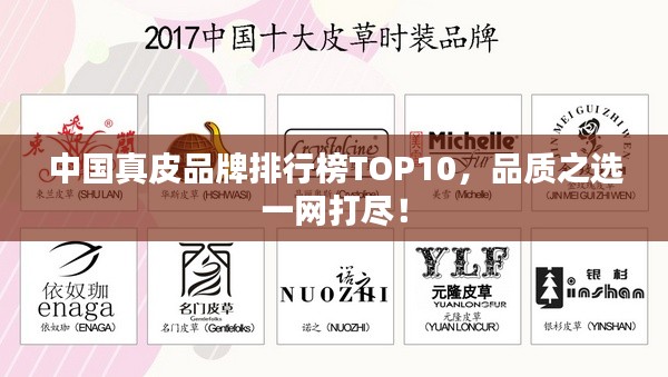 中国真皮品牌排行榜TOP10，品质之选一网打尽！