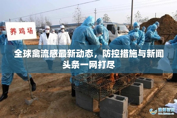 全球禽流感最新动态，防控措施与新闻头条一网打尽