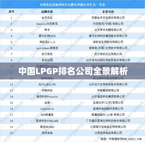 中国LPGP排名公司全景解析