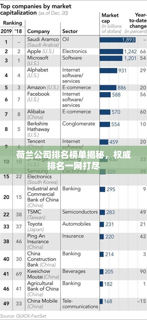 荷兰公司排名榜单揭秘，权威排名一网打尽