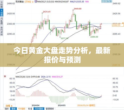 今日黄金大盘走势分析，最新报价与预测