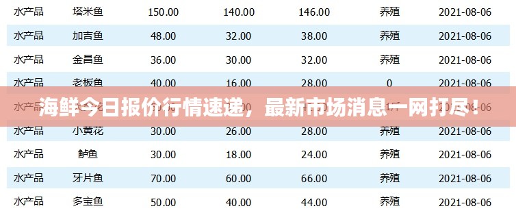 海鲜今日报价行情速递，最新市场消息一网打尽！