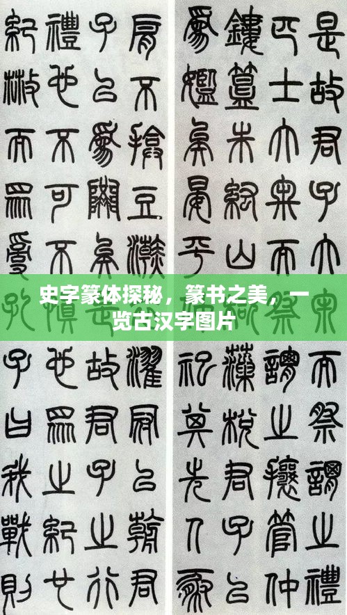 史字篆体探秘，篆书之美，一览古汉字图片