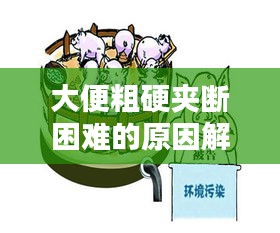 大便粗硬夹断困难的原因解析与应对之策