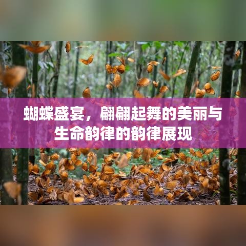 蝴蝶盛宴，翩翩起舞的美丽与生命韵律的韵律展现