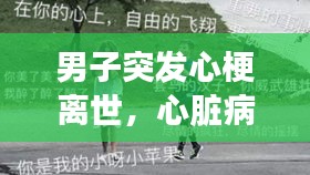 男子突发心梗离世，心脏病突发警示及应对之策揭秘