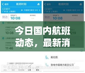今日国内航班动态，最新消息速递