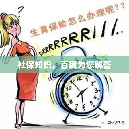 社保知识，百度为您解答