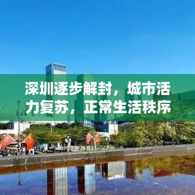 深圳逐步解封，城市活力复苏，正常生活秩序重塑