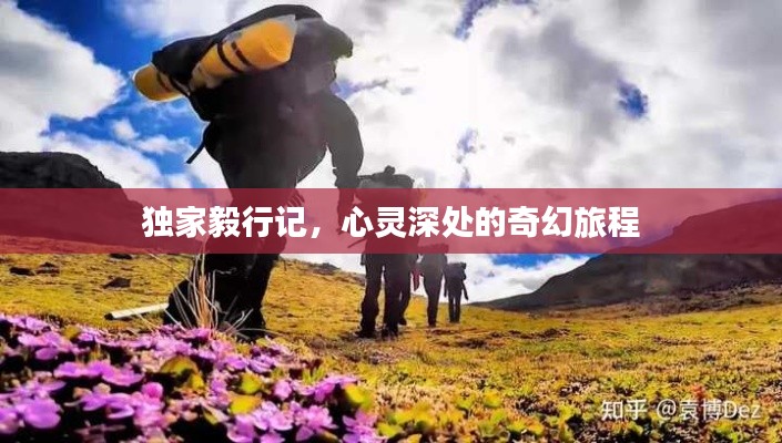 独家毅行记，心灵深处的奇幻旅程