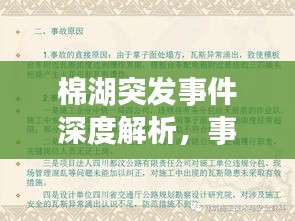 棉湖突发事件深度解析，事件真相、原因及应对之道