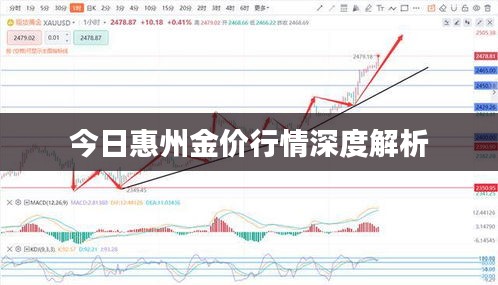 今日惠州金价行情深度解析