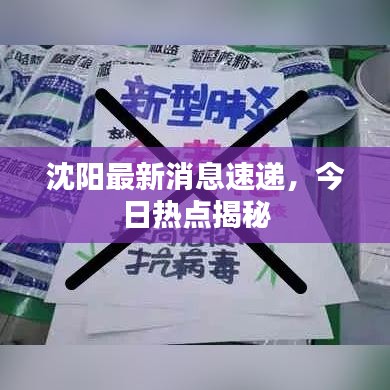 沈阳最新消息速递，今日热点揭秘