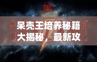 呆壳王培养秘籍大揭秘，最新攻略助你成为顶尖玩家！