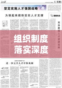 组织制度落实深度探讨，现状与挑战