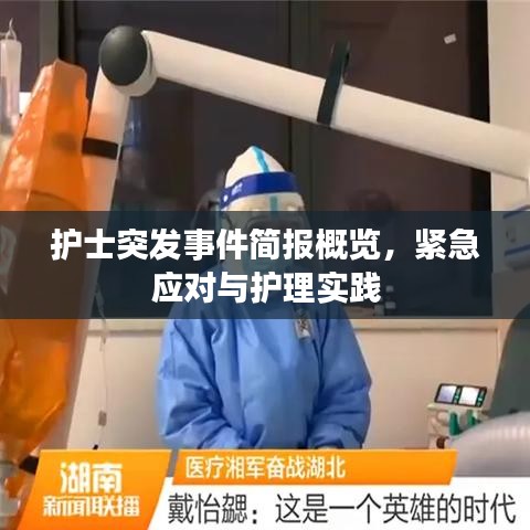 护士突发事件简报概览，紧急应对与护理实践