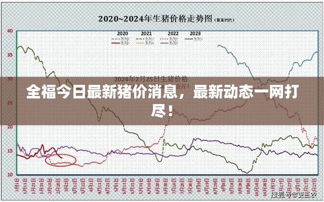 全福今日最新猪价消息，最新动态一网打尽！