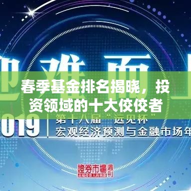 春季基金排名揭晓，投资领域的十大佼佼者榜单