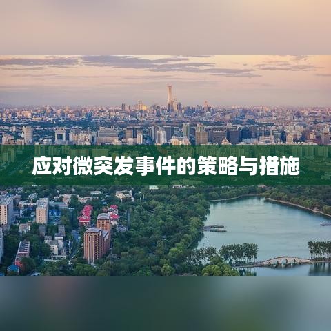 应对微突发事件的策略与措施