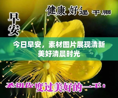 今日早安，素材图片展现清新美好清晨时光