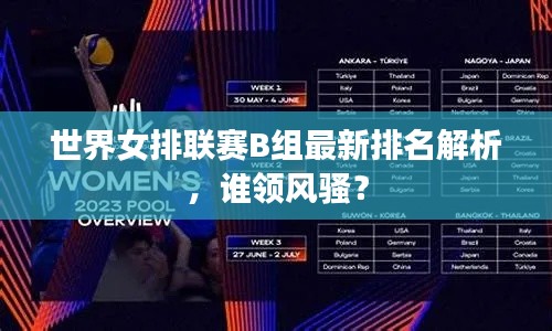 世界女排联赛B组最新排名解析，谁领风骚？