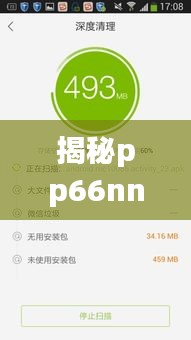 揭秘pp66nn.com，深度探讨百度搜索结果中的奥秘