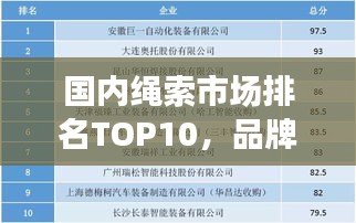 国内绳索市场排名TOP10，品牌竞争榜单揭晓！