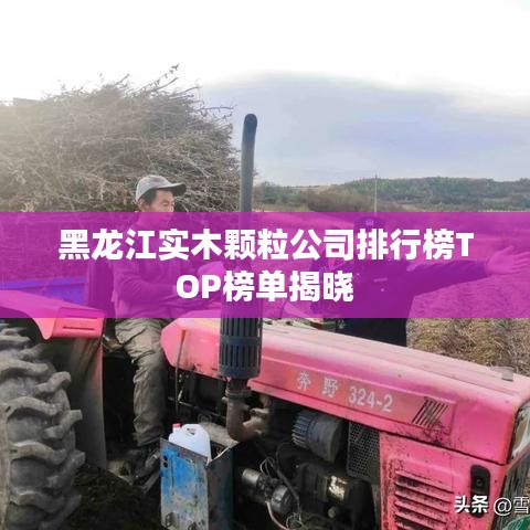 黑龙江实木颗粒公司排行榜TOP榜单揭晓