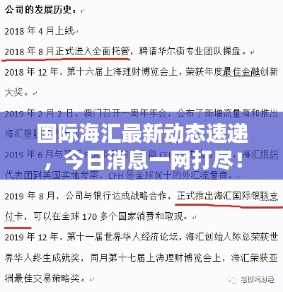 国际海汇最新动态速递，今日消息一网打尽！