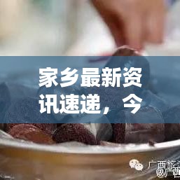 家乡最新资讯速递，今日头条全掌握