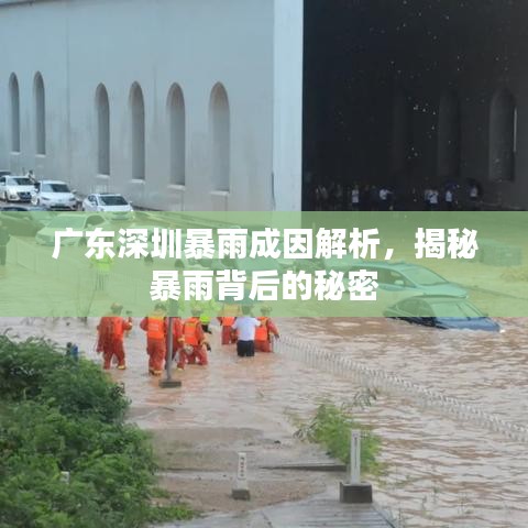 广东深圳暴雨成因解析，揭秘暴雨背后的秘密