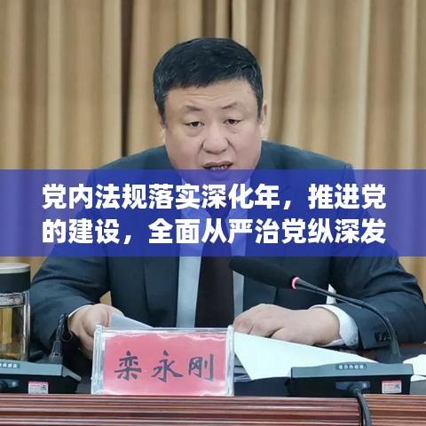 党内法规落实深化年，推进党的建设，全面从严治党纵深发展