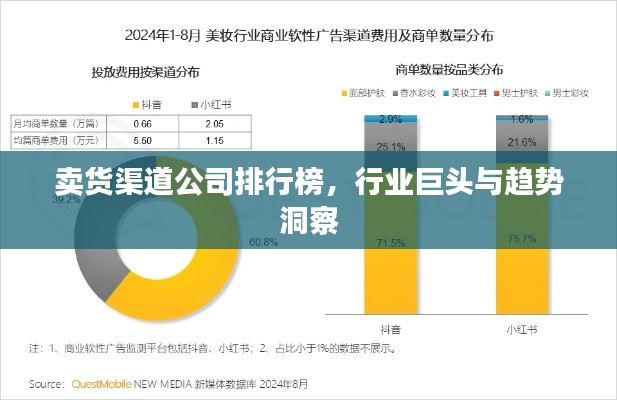 卖货渠道公司排行榜，行业巨头与趋势洞察