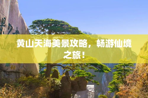 黄山天海美景攻略，畅游仙境之旅！