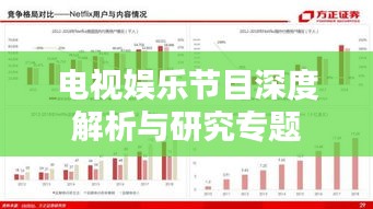 电视娱乐节目深度解析与研究专题