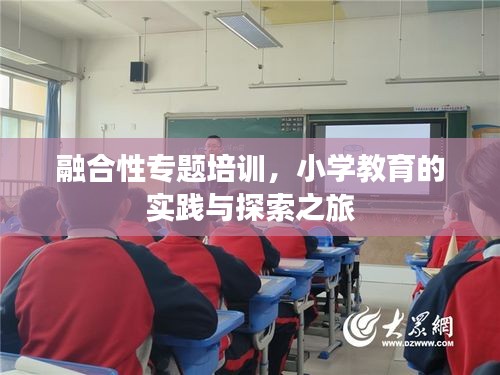 融合性专题培训，小学教育的实践与探索之旅